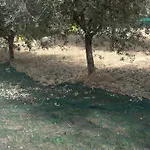 Agriturismo Al Mandorlo Bed & Breakfast *