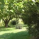 Agriturismo Al Mandorlo Serrungarina