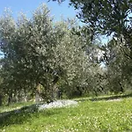Agriturismo Al Mandorlo *