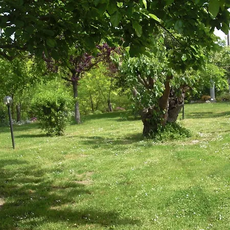 Couette-café Agriturismo Al Mandorlo *