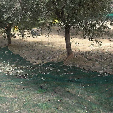 Agriturismo Al Mandorlo Couette-café *