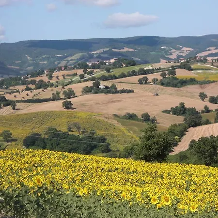Couette-café Agriturismo Al Mandorlo Serrungarina
