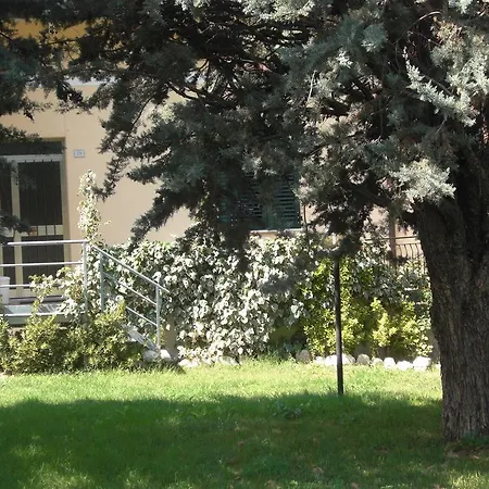 Agriturismo Al Mandorlo Bed and Breakfast Serrungarina