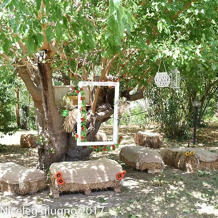 Agriturismo Al Mandorlo Couette-café