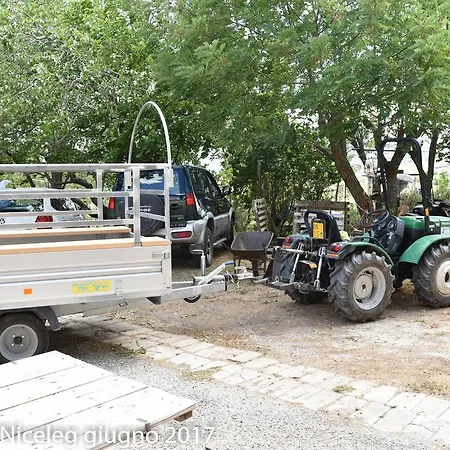 Couette-café Agriturismo Al Mandorlo