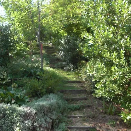 Couette-café Agriturismo Al Mandorlo Serrungarina