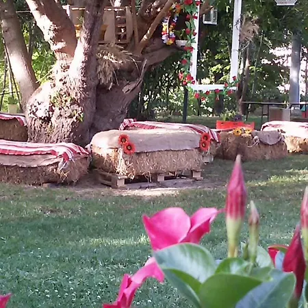 Agriturismo Al Mandorlo