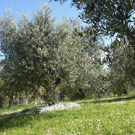 Agriturismo Al Mandorlo *