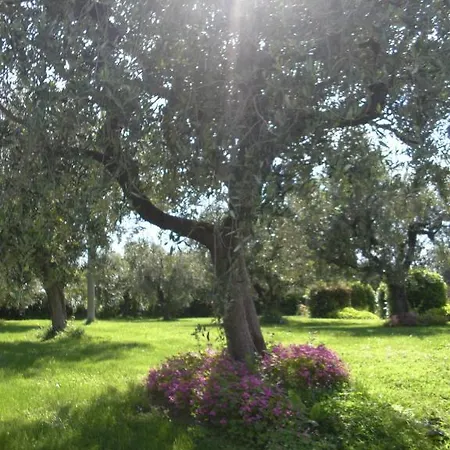 Agriturismo Al Mandorlo