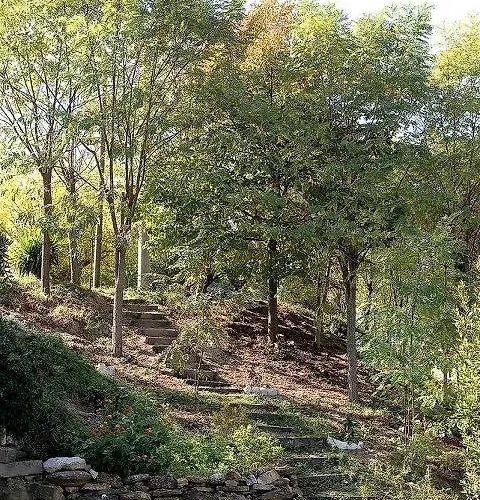 Bed & Breakfast Agriturismo Al Mandorlo