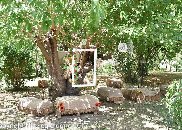 Agriturismo Al Mandorlo Bed & Breakfast