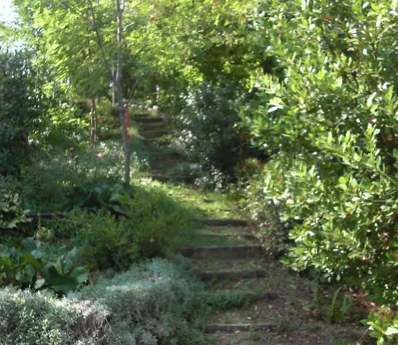Bed and Breakfast Agriturismo Al Mandorlo Serrungarina