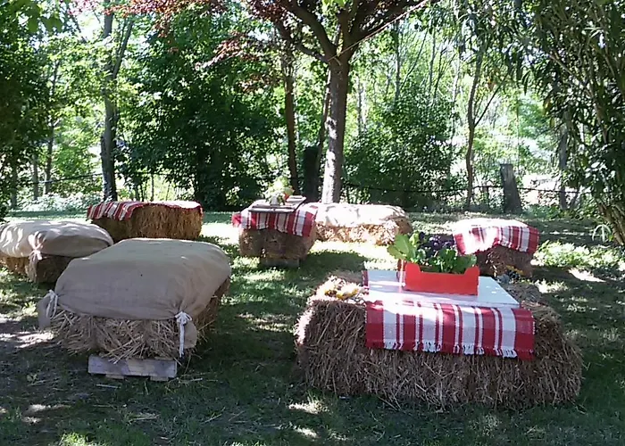 Agriturismo Al Mandorlo Serrungarina