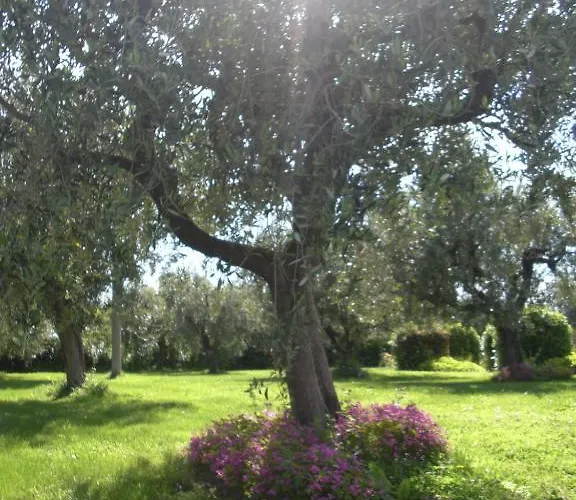 Agriturismo Al Mandorlo